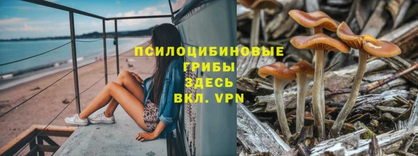 ешки Белоозёрский