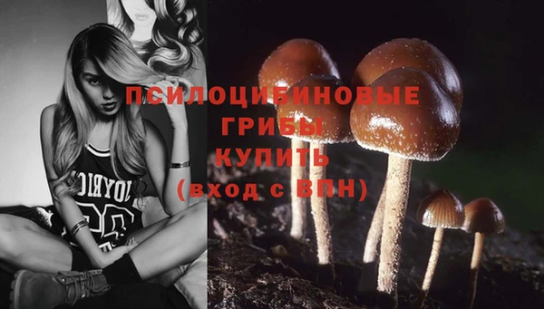 ешки Белоозёрский